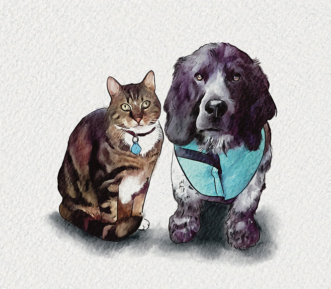 Watercolor Cat Paintings